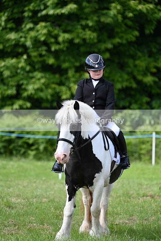 WJ7_0793 - Class 8 First Rally Pony
