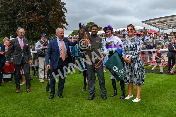220824-Race 2-Diligently-6561 - Race 2 2.25pm Harry's Half Million By Goffs Premier Yearling Stakes