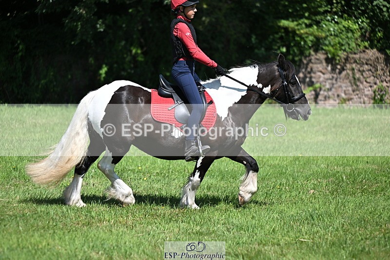 240729B-141655-02687 - Abbie's Group XC