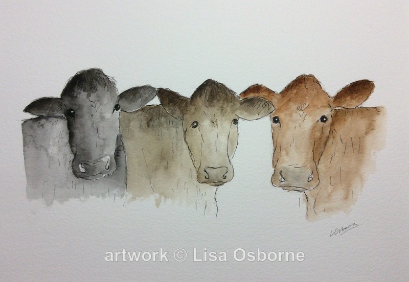 Three cows - Animals