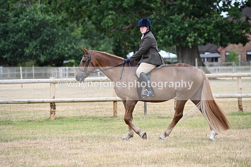 WJ6_3764 - Class 9 Tack & Turnout