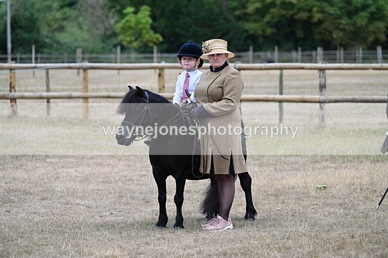 WJ7_8352 - Class 4 Prettiest Mare up to 14.2hh