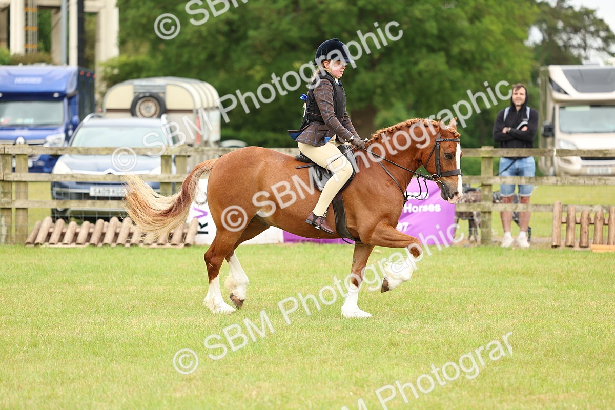 SBM_10339 - Class 44-45 - LIHS BSPS Open Nursery and Cradle Stakes