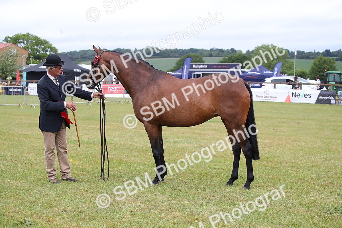 SBM_00183 - Class 17-20 - Arab & Part Bred - Anglo Arab In Hand