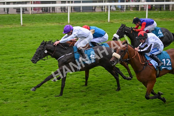 210824-Race 7-Yes Im Mali-5770 - Race 7 5.20pm Sky Bet Nursery Handicap