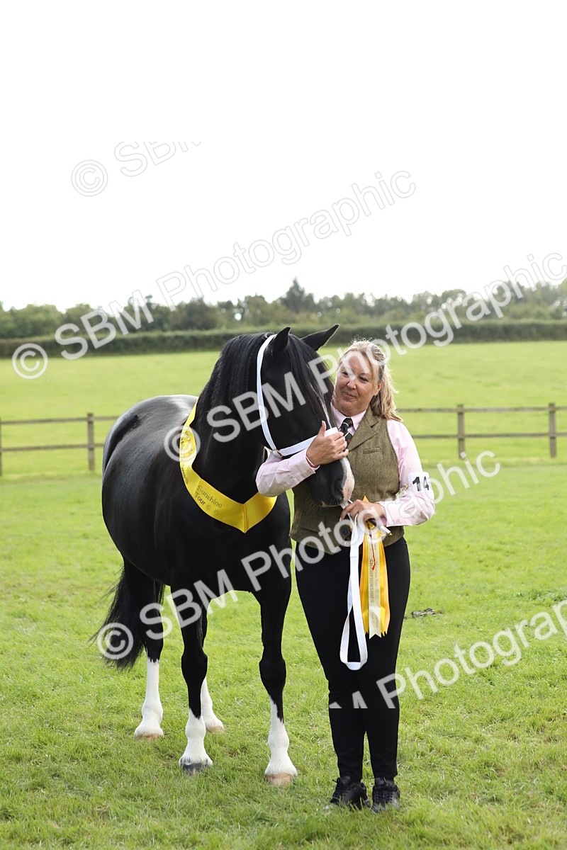SBM_65520 - S47 - Mountain & Moorland In Hand Large Breeds