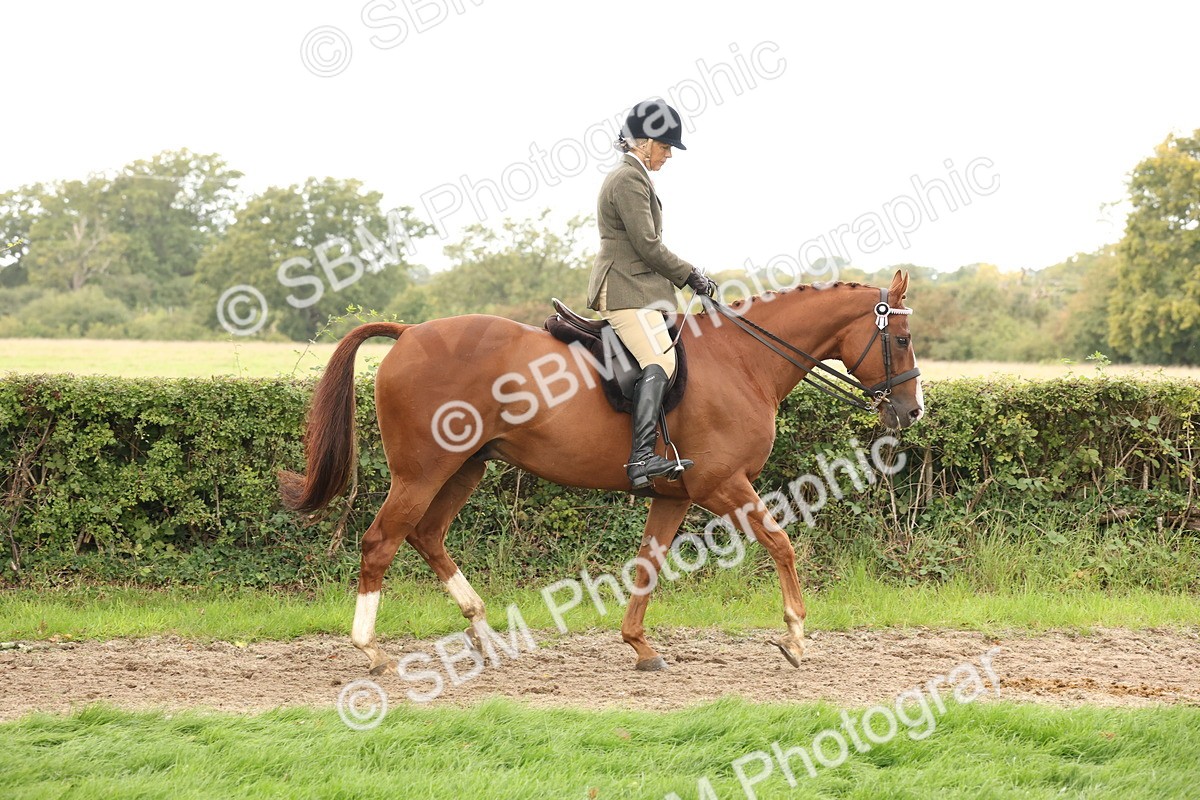 SBM_64149 - S65 - Riding Horse & Hack & Thoroughbred Ridden