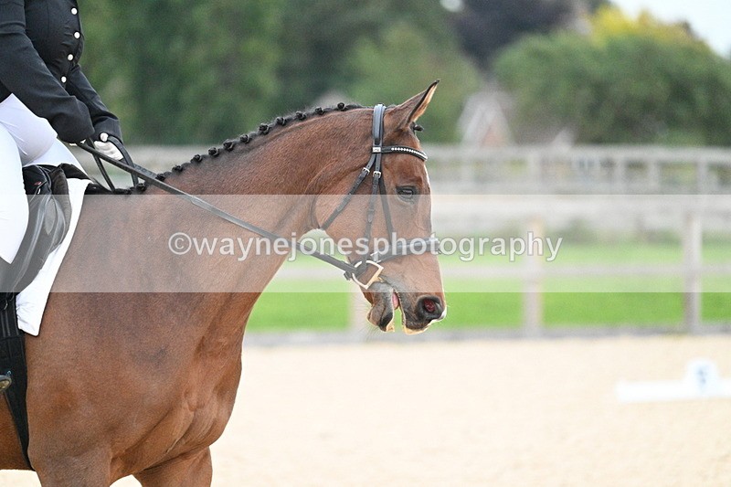 WJ7_2462 - Class 2 & Champs