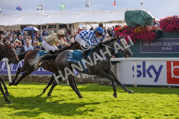 250823-Race 7-Silver Sword-5987 - Race 7 5.15pm Sky Bet Mile Handicap