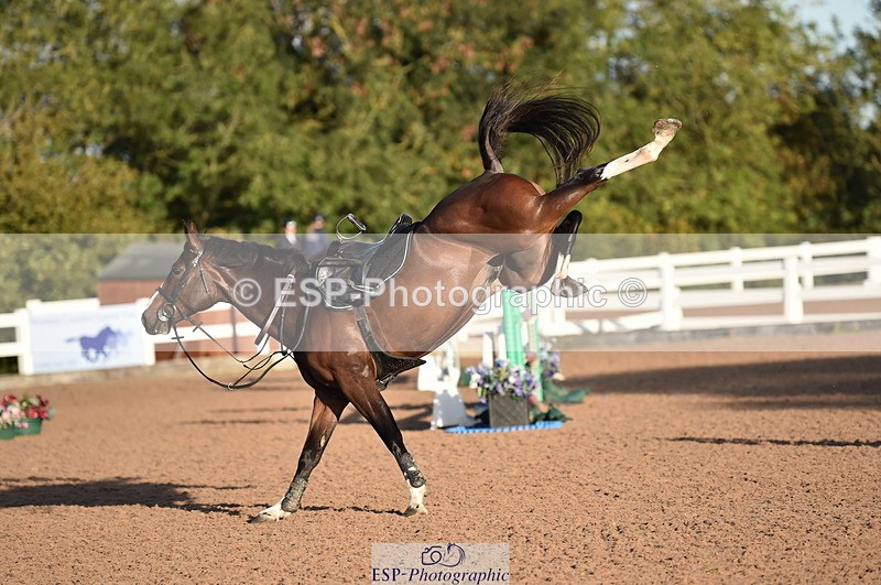 231015A-090706-06624 - Cls 22 British Novice & 90cm Open