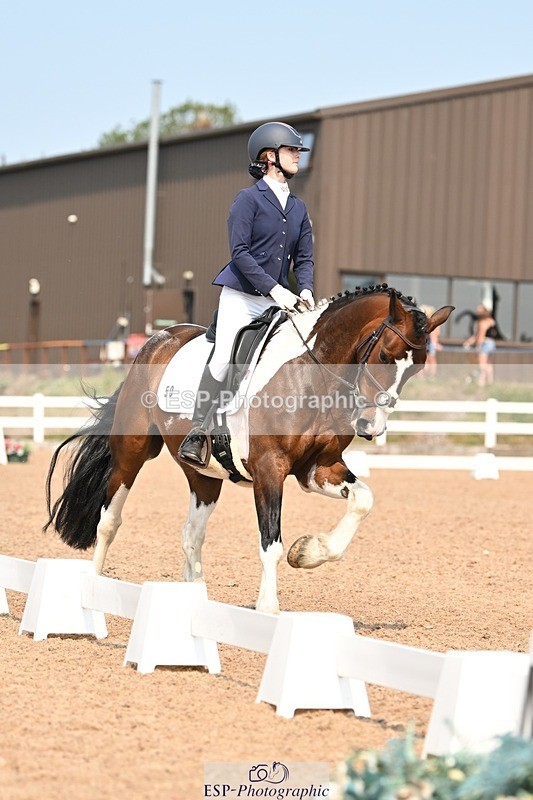 250816-140645-05014 - 050-Mollie.SheathTouch.Wood