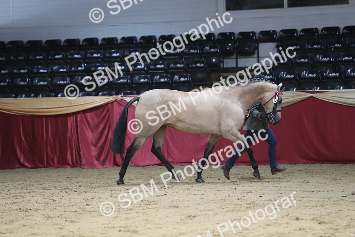 SBM_06521 - Regional IH Champ