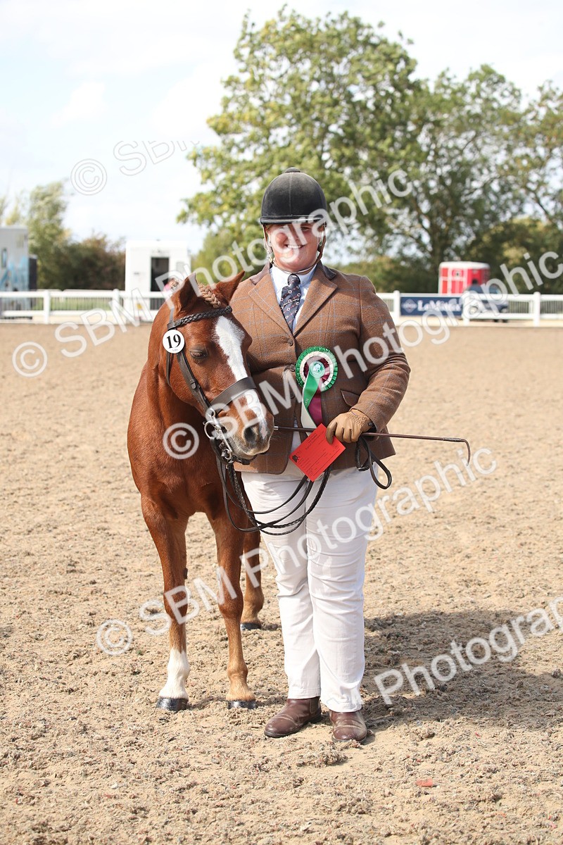 SBM_23167 - Class 606 - 2026 - Area - IH Pre Vet