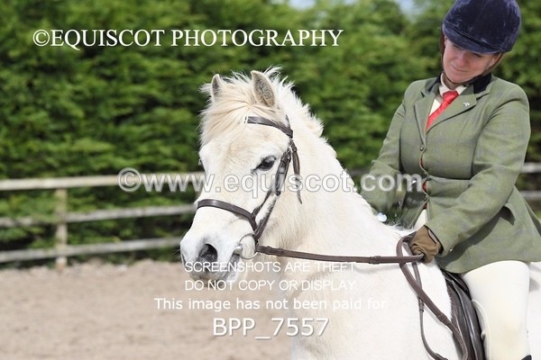 BPP_7557 - RING 1  (RIDDEN HORSES / IN HAND / VETERAN ETC)