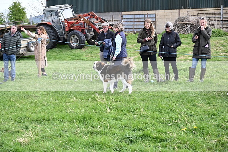 WJ6_8529 - Class 6 Best Rescue