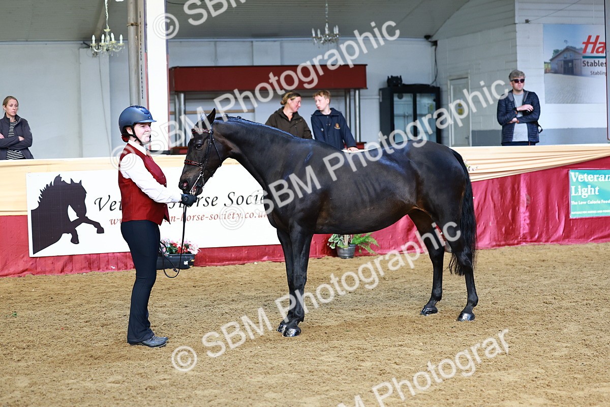 SBM_22202 - Class 902 - Supreme Final - IH Diamond