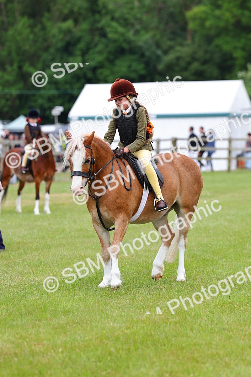 SBM_08752 - Class 42-43 - LIHS BSPS Heritage Working Sports Pony