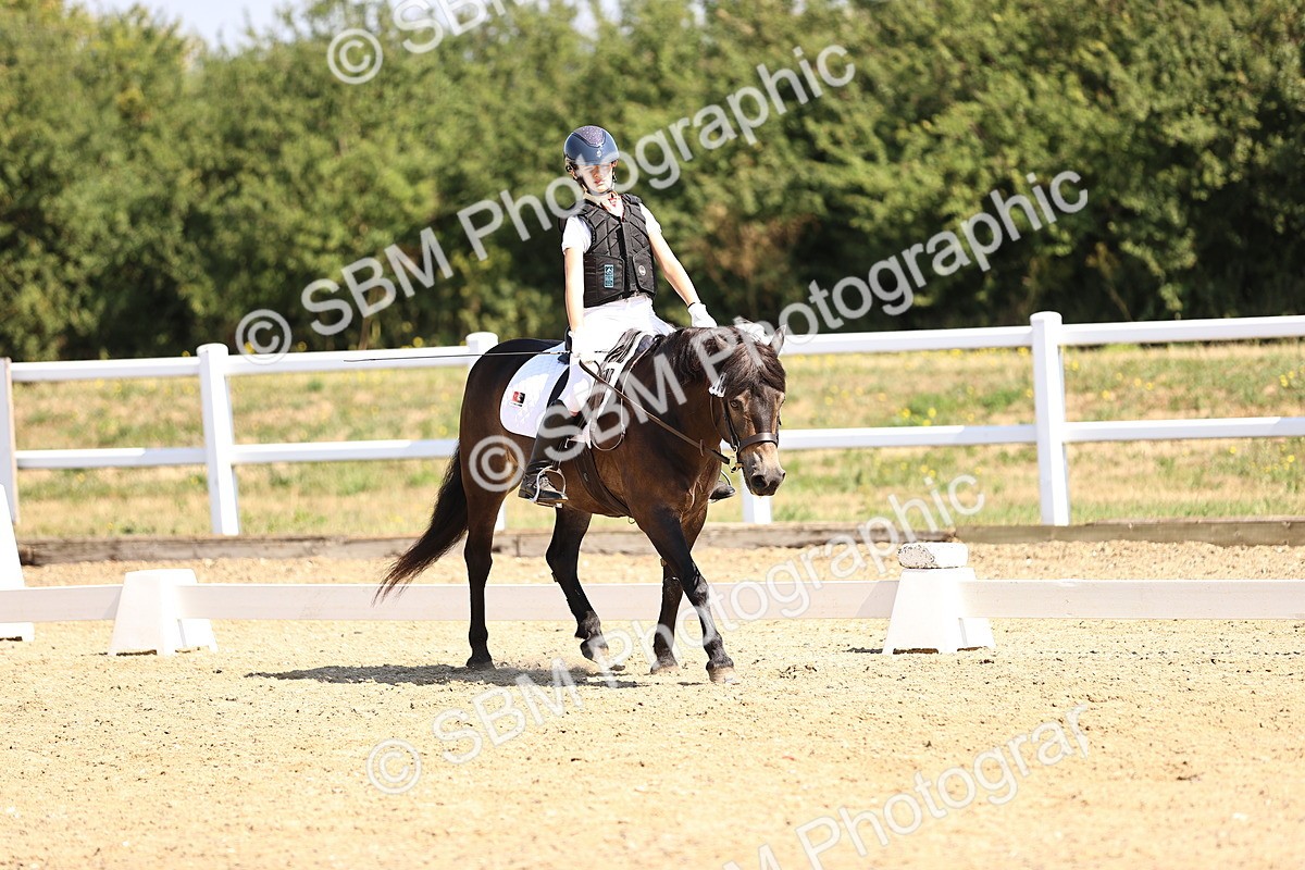 SBM_003528 - Intro 2