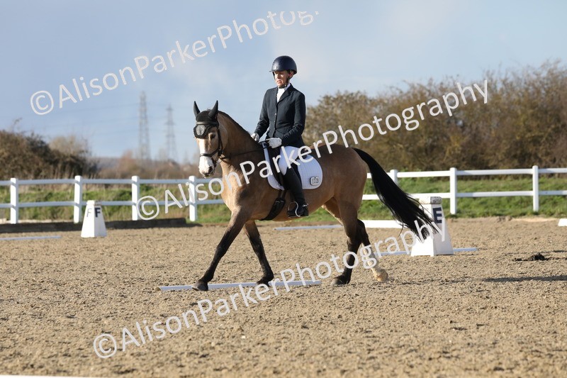 20260314-5882 - DR8 - Elementary 2