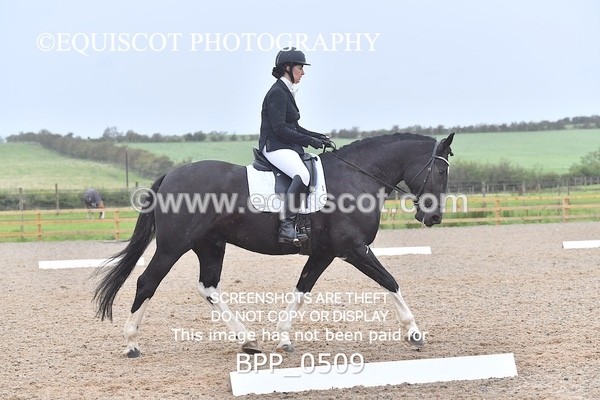 BPP_0509 - ELEM 6 & 4