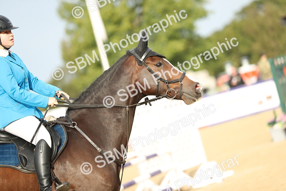 SBM_56147 - J24 - Junior Horse 75cm Championship