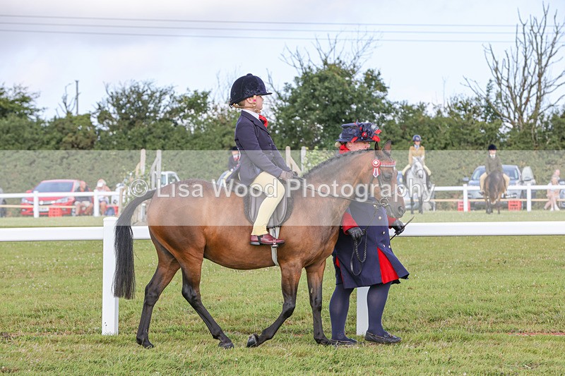 1X9A3544 - Class 29: Lead Rein SP/SHP