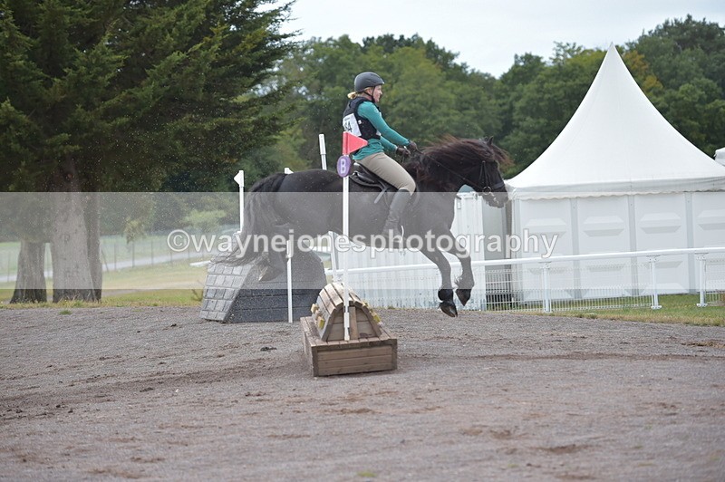 NGP_2829 - XC Time 11:37 to 11:57