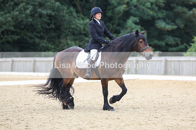 3E7A4720 - Class 1: Intro 4 2024 section A