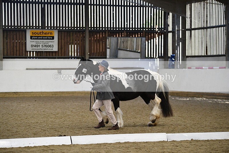 WJ5_5502 - Class 8 In hand cob