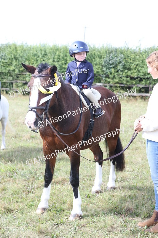 20250831-3238 - Class 24 - Absolute Beginners Pony