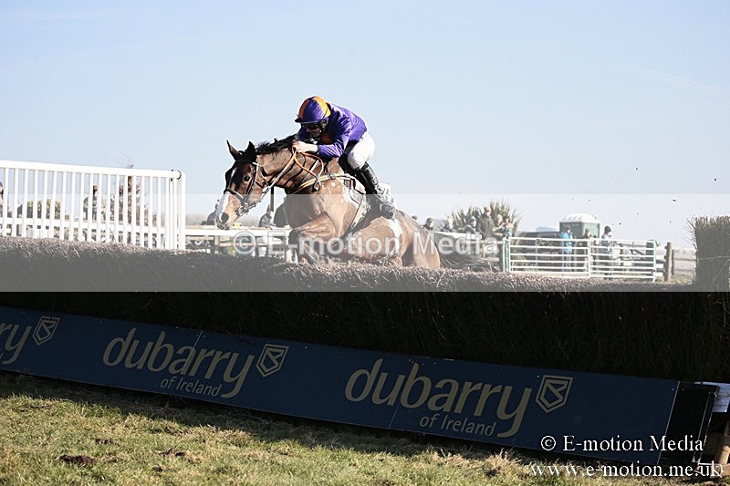 PtP 240218 387 - Vine & Craven Hunt Point-to-Point Barbury racecourse 24/02/18
