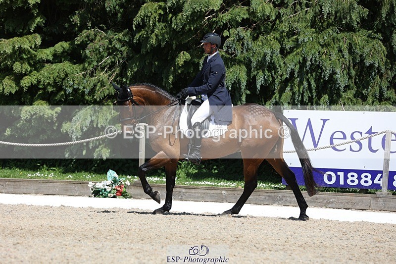 230526-144447-06534 - 374-ISLANDWOOD_THE_RISING-Sebastian_Roldan_Olivera-WEDTrotUp+DR