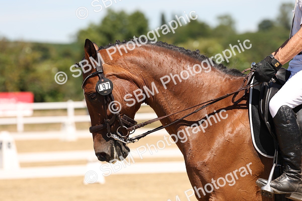 SBM_002208 - Elementary 4 Warm Up