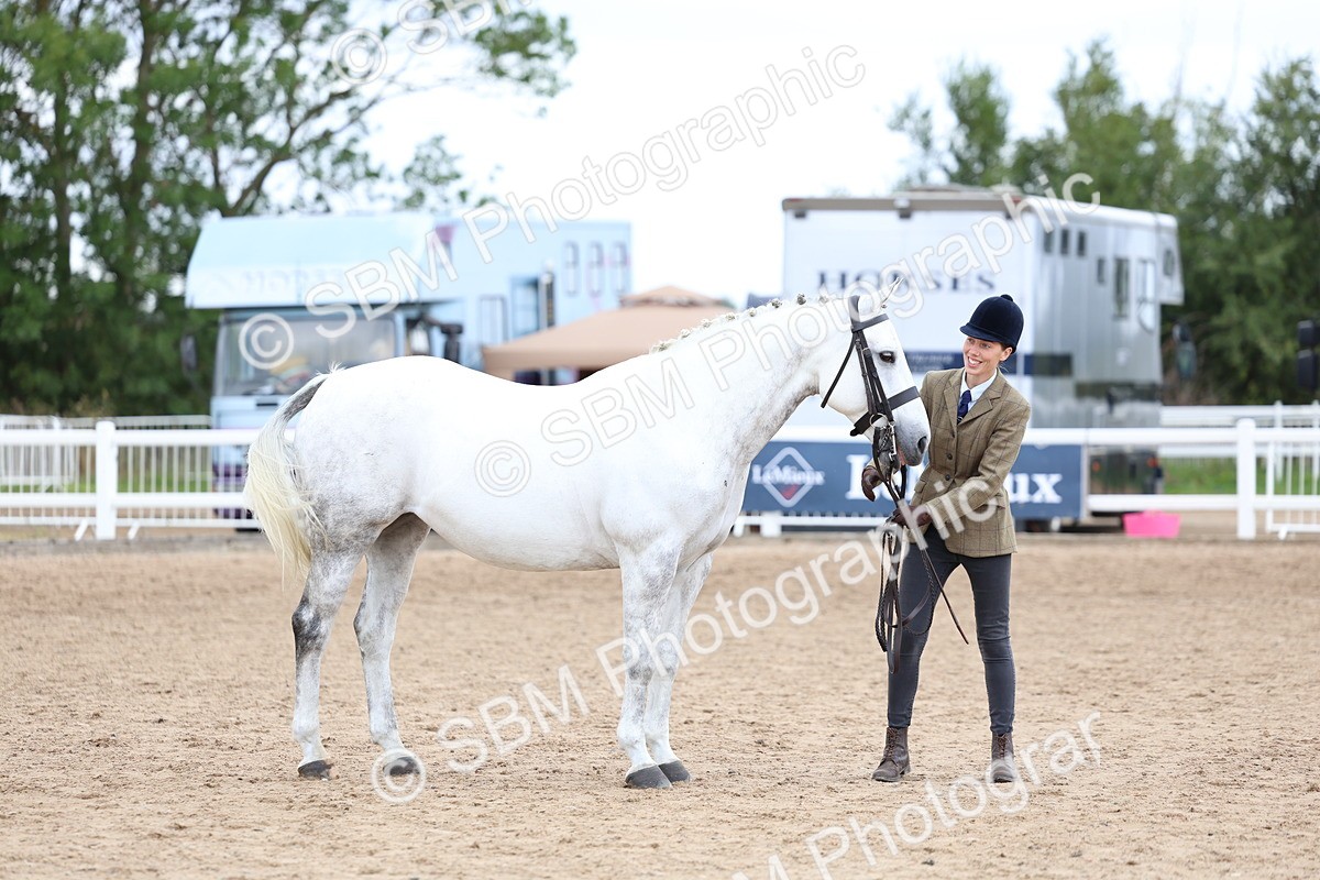 SBM_05714 - Class 28 - IH Veteran Horse