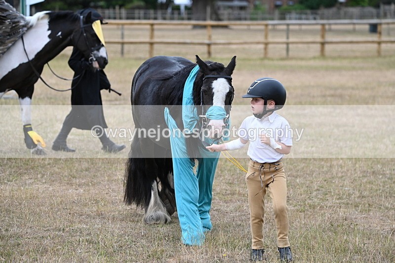 WJ6_8781 - Class 11 Fancy Dress