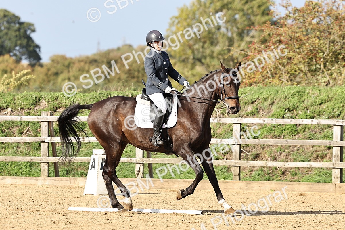 SBM_002203 - Class 50 - Novice 1