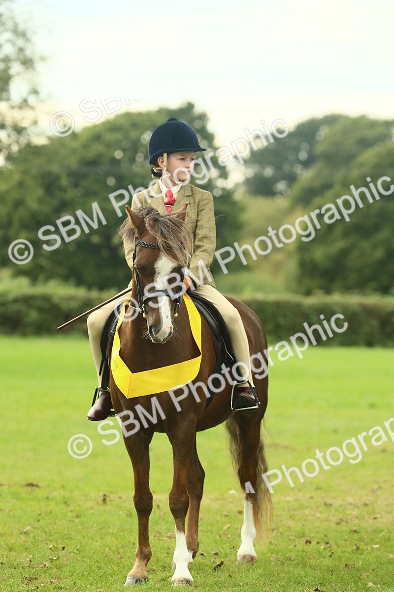 SBM_75088 - Ridden Pony Supreme Championship