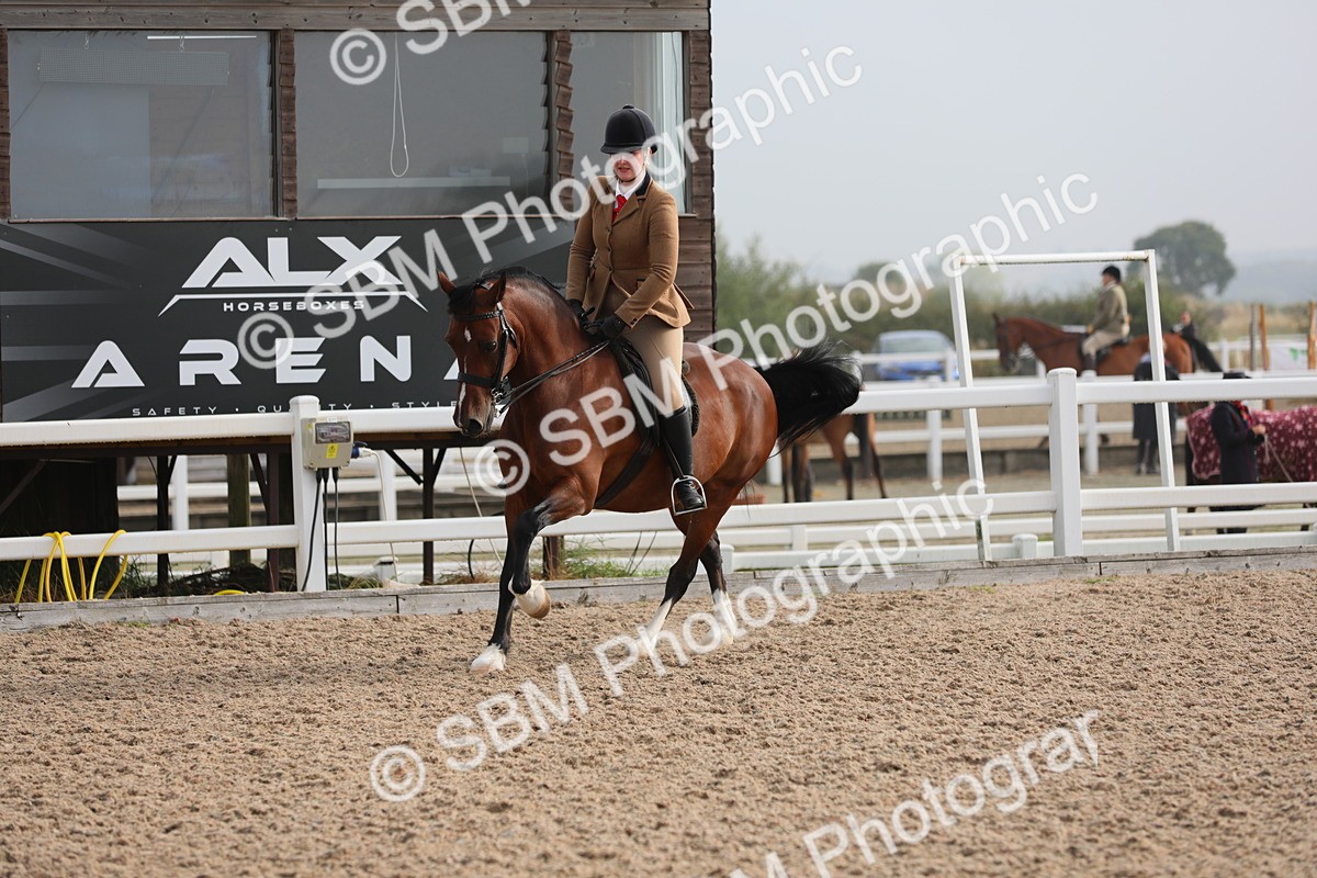 SBM_10081 - Class 302 Ridden M&M -Large Breeds