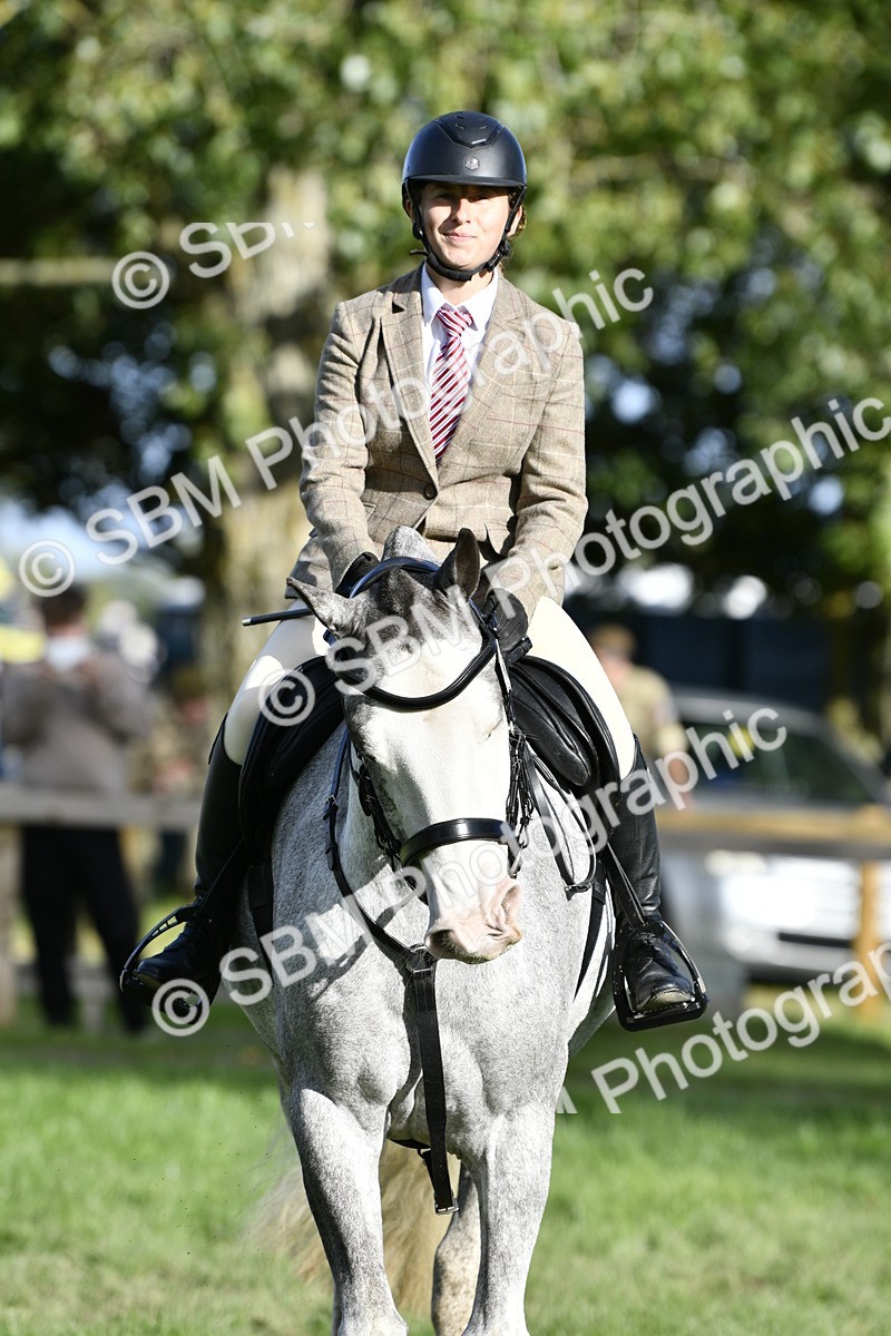 SBM_52206 - S35 - Working Hunter & Working Show Horse
