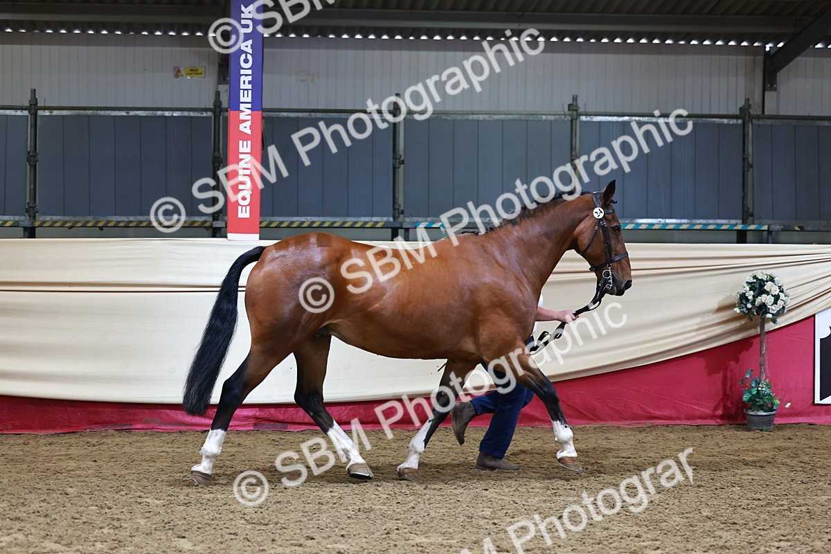 SBM_22158 - Class 902 - Supreme Final - IH Diamond