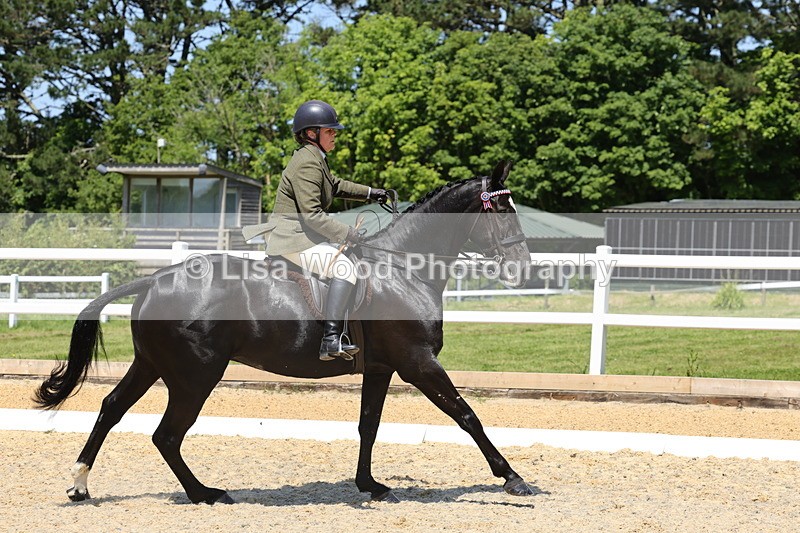 1X9A1855 - Class 12: Ridden Riding Horse/Hack