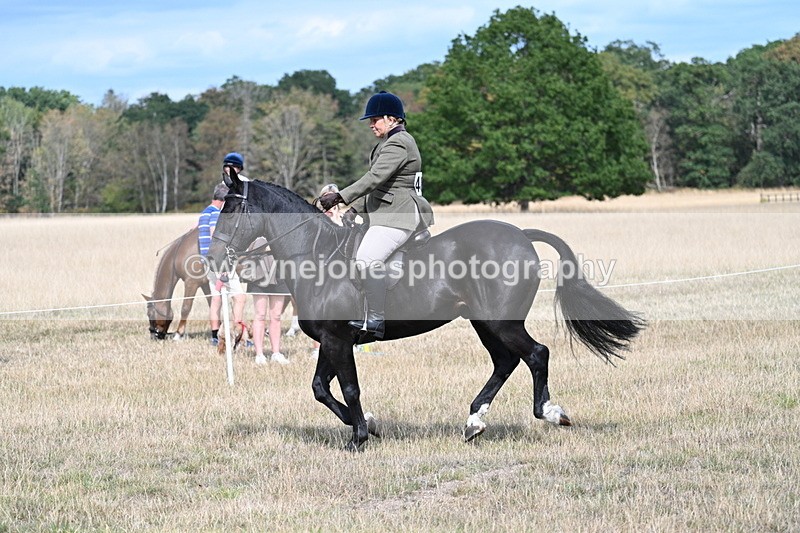 WJ7_6153 - Class 13 Ridden Veterans