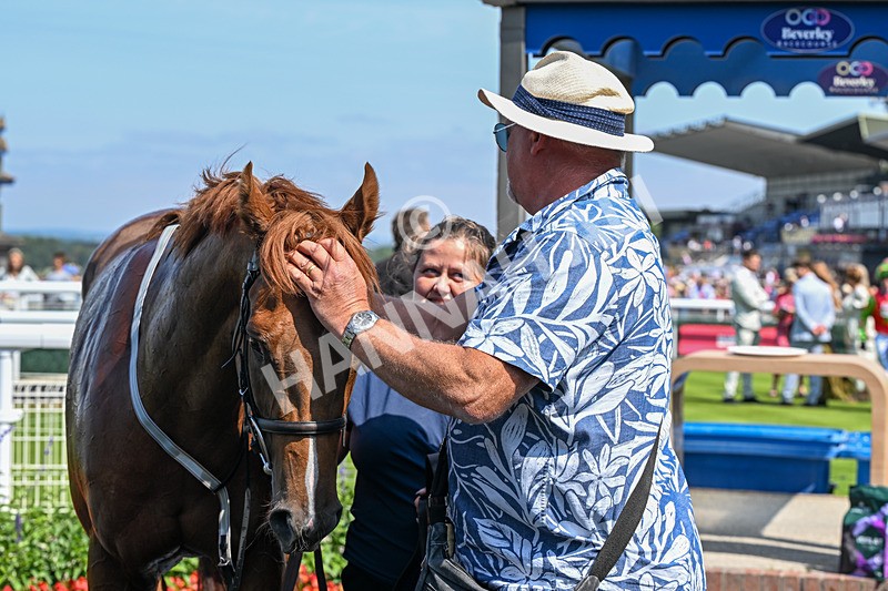 140726-Race 2-What A Tahoo-0038 - Race 2 14.47pm Young Guns Handicap