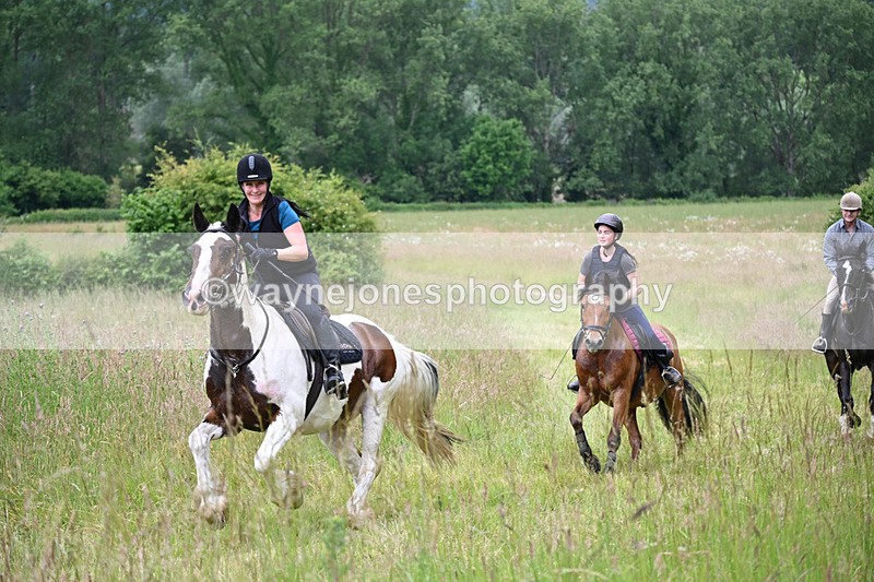 WJ6_8204 - Camera 1 Gallops