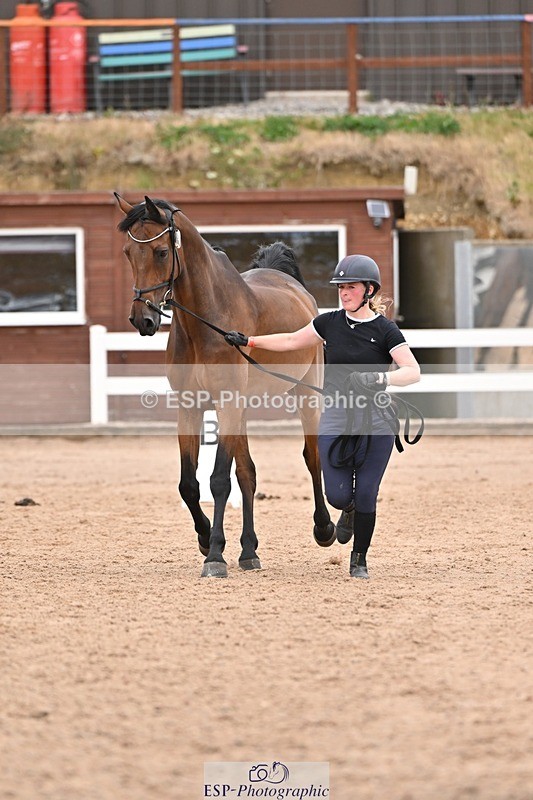 250716-160413-02385 - Trot Up 3.30 to 4.30