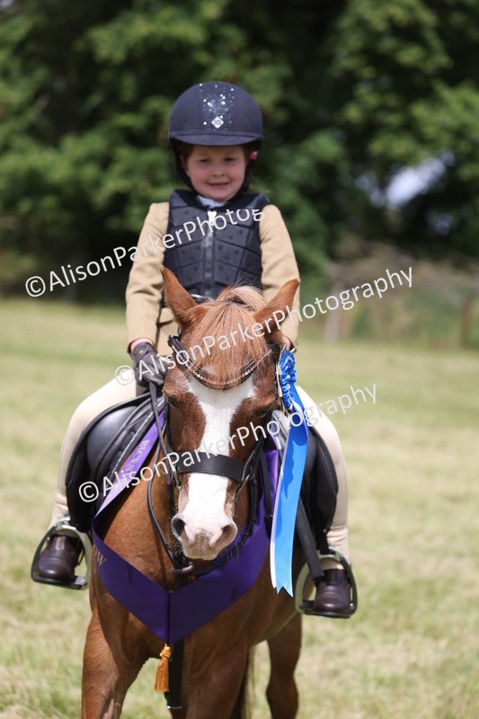 20260614-2137 - Class 21 - Novice Working Hunter Pony
