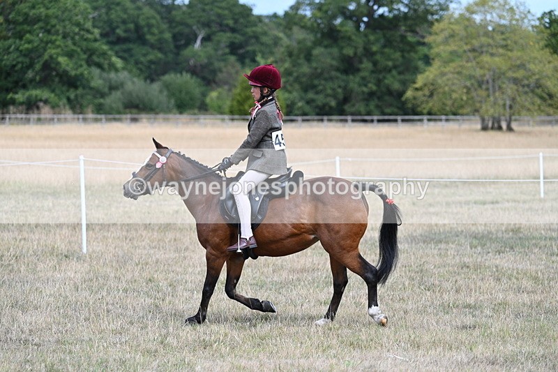 WJ7_5814 - Class 13 Ridden Veterans