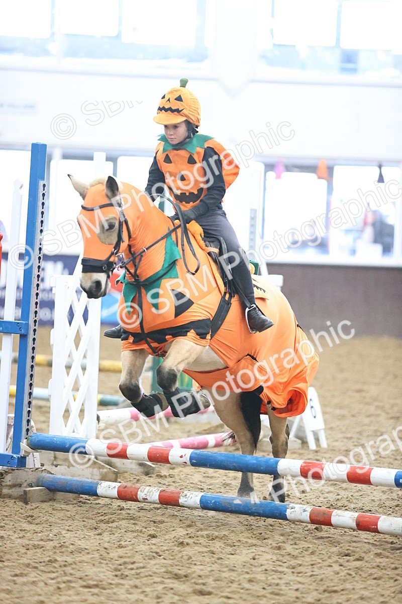 SBM_000550 - Class 2 - Show Jumping 50cm