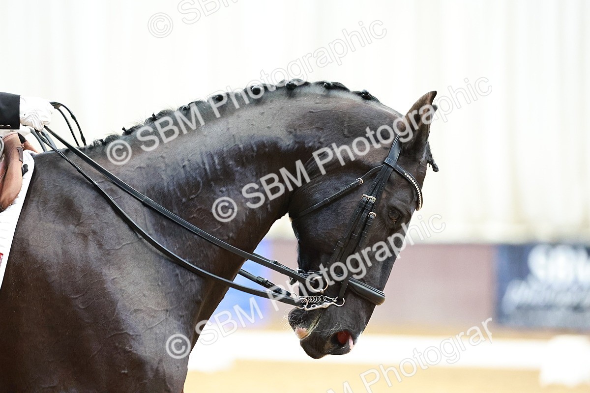 SBM_003470 - Class 8 - Medium 5