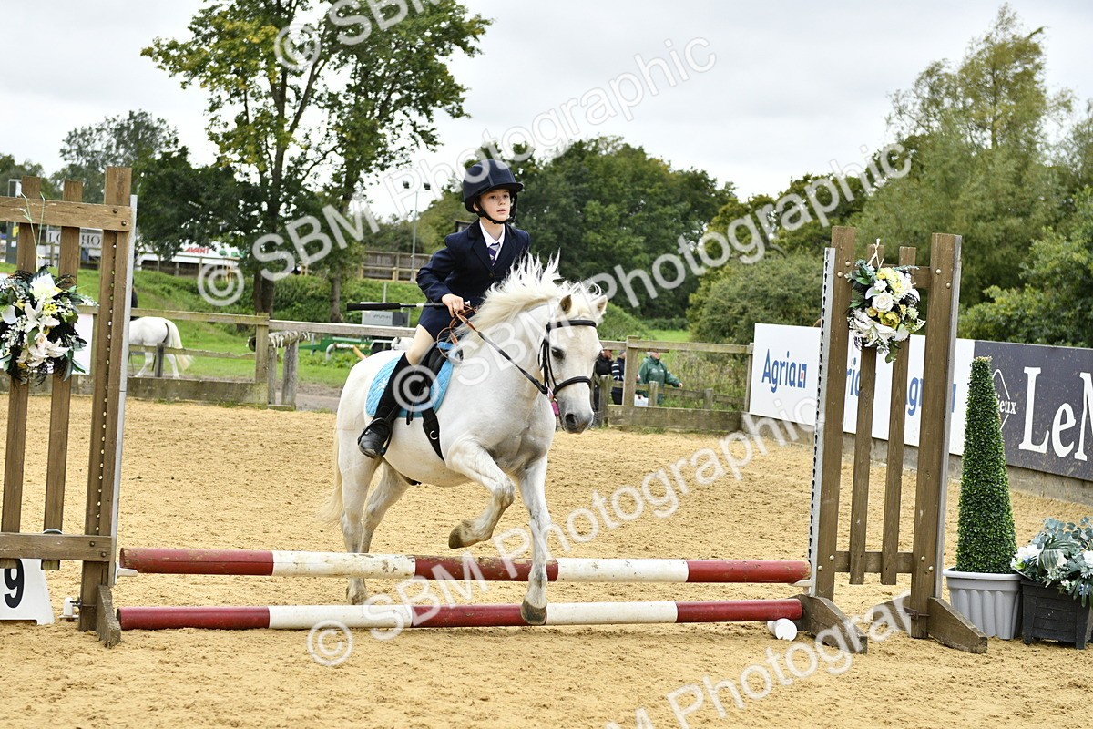 SBM_68039 - J2b - Mini Tour Junior Pony 30cm championship